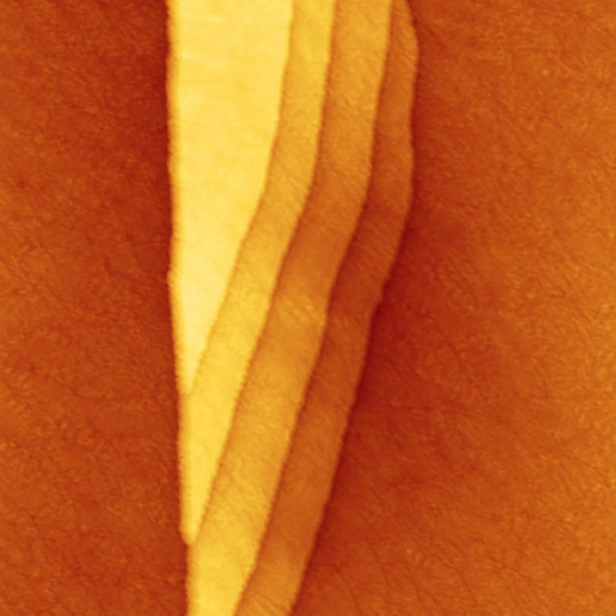 Topography and structure