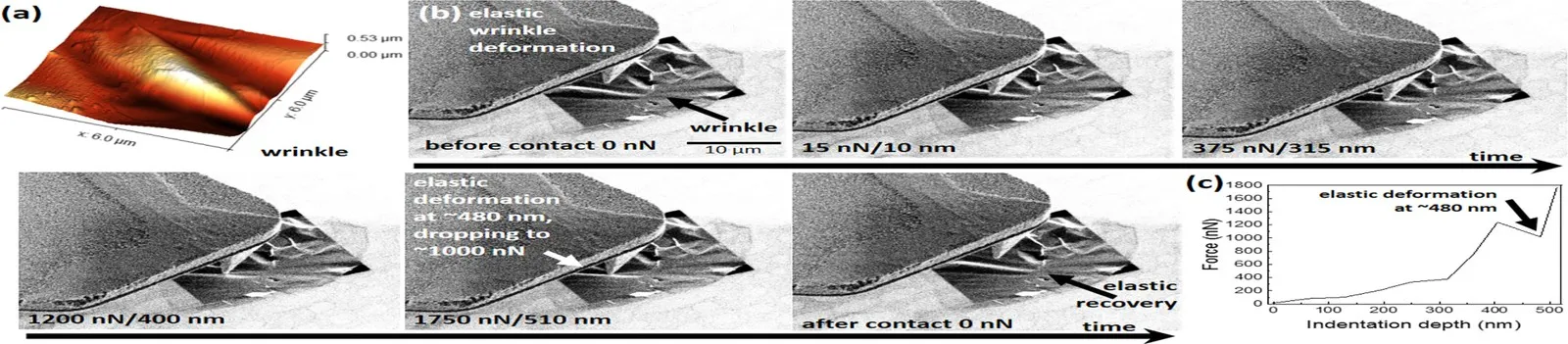 Tapping-mode AFM image of a wrinkle in a suspended few-layer graphene membrane (top left) and SEM images taken while the AFM tip indents the wrinkle.