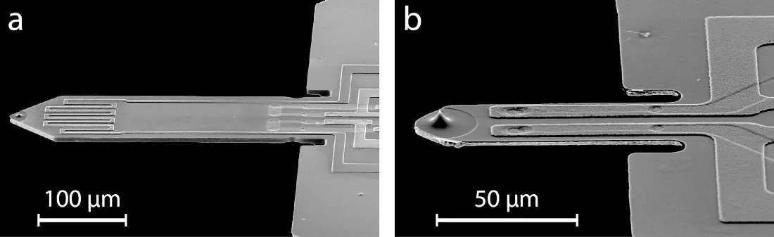 SEM images of the silicon piezoresistive cantilevers used: (a) 300 × 100 µm, (b) 70 × 30 µm.