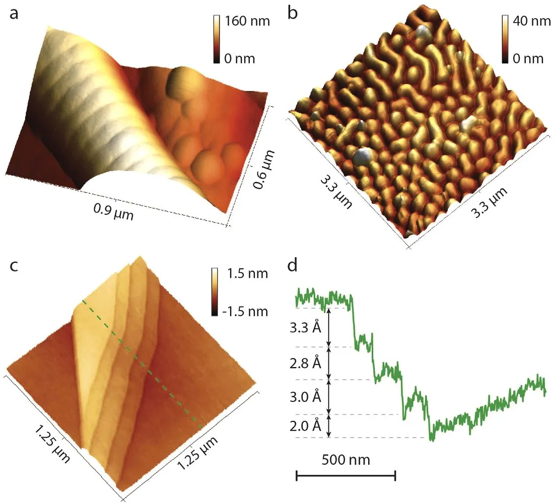 AFM images taken with piezoresistive readout: (a) collagen fibril with 67 nm banding, (b) cornea of a housefly eye with features about 10 nm high, (c) atomic steps on graphite, (d) line profile across the steps with height differences of 2 to 3 Å.