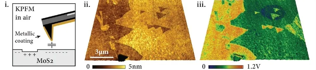 (i) KPFM in air with a metal-coated tip. (ii) Topography of few-layer MoS₂, height scale 0 to 5 nm. (iii) Surface potential, scale 0 to 1.2 V.