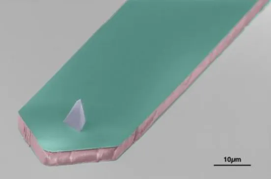False-colour SEM image of the tip end of a metal-coated Trilayer cantilever. Scale bar 10 µm.