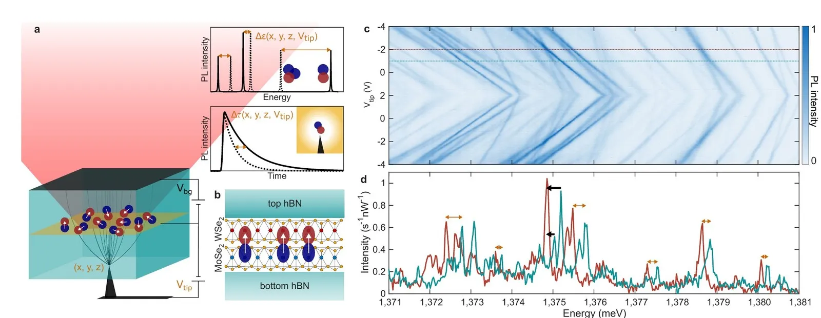 (a) A metallic tip in contact with the sample shifts the emission of individual quantum emitters. (b) The MoSe₂/WSe₂ bilayer between hBN layers. (c) Emission energy as a function of tip voltage. (d) Emission spectra at two tip voltages.
