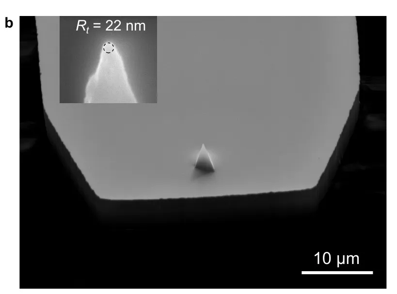 SEM image of the self-sensing cantilever with its conductive tip. Inset: the tip apex with a radius of about 22 nm. Scale bar 10 µm.