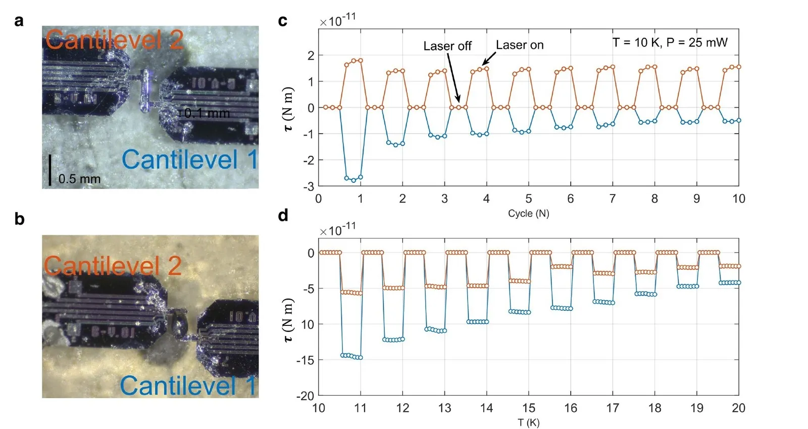 (a, b) Tellurium samples mounted between two cantilevers: single crystal and polycrystalline. (c) Torque response of the single crystal when the heating laser is switched on and off. (d) Temperature dependence of the torque for the polycrystalline sample.