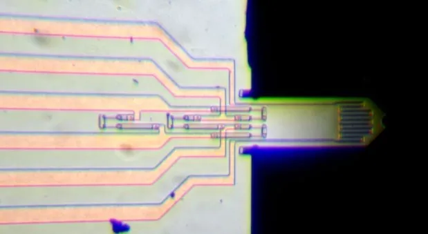 Microscope image of the piezoresistive cantilever used for the measurement.