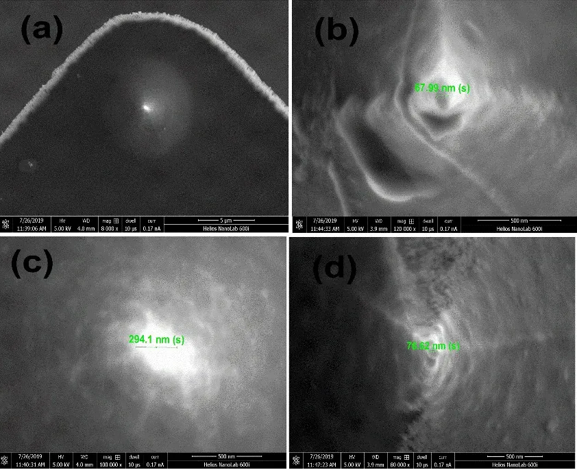 SEM images of the magnetically coated tip of the piezoresistive cantilever at different magnifications.