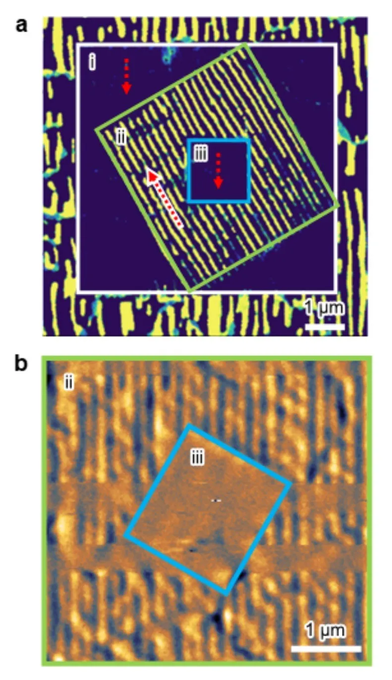 (a) Electron channelling contrast image of crystal domains written into SrRuO₃ with an AFM tip. (b) MFM image of the ferromagnetic domains in the written regions. Scale bars 1 µm.