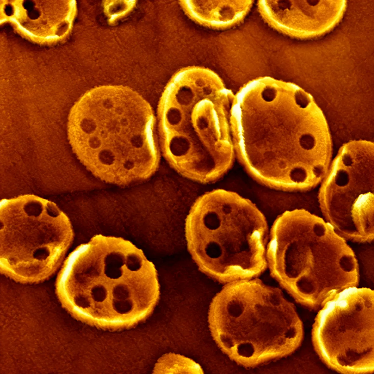 In-liquid and biosensing
