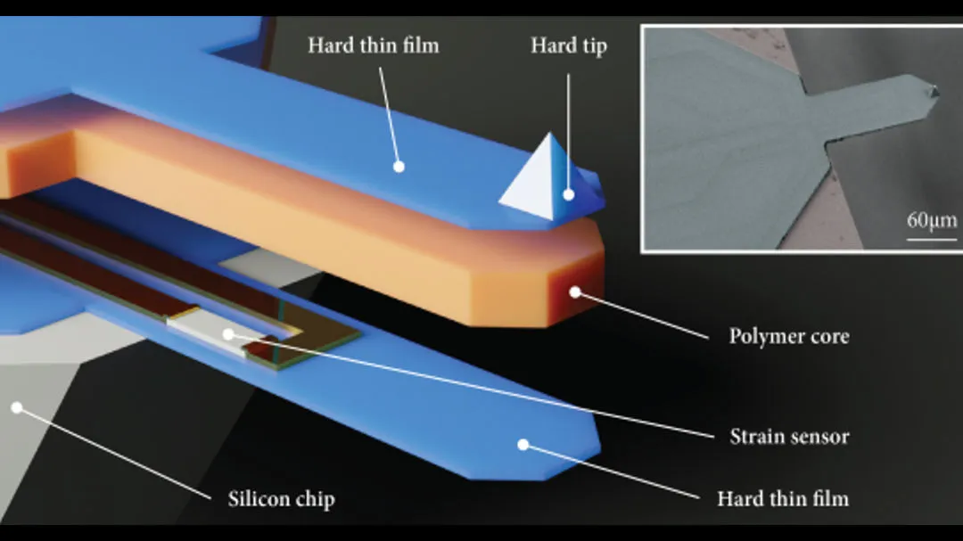 Rendering of a Trilayer self-sensing cantilever with hard thin film, polymer core, strain sensor and hard tip labeled, plus an SEM inset