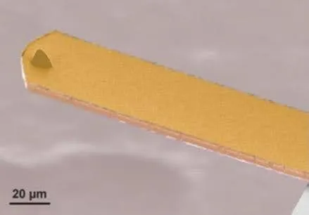 SEM image of a Conductive Trilayer cantilever