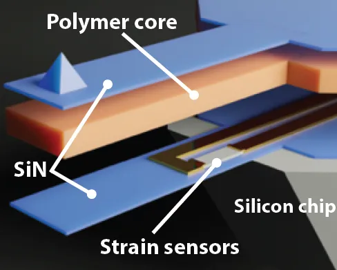 Schematic of the trilayer cantilever