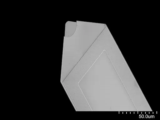 Tip area of a PRSA-L450 cantilever