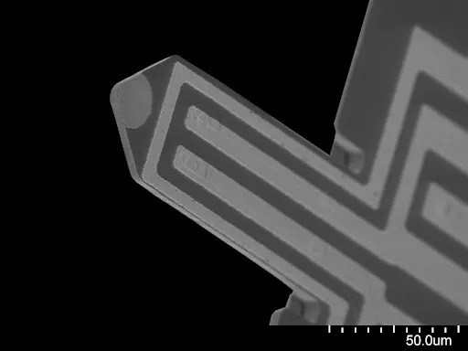 Sample-facing side of a PRSA-L100 cantilever
