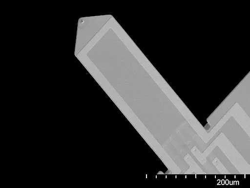 Sample-facing side of a PRSA-L450 cantilever