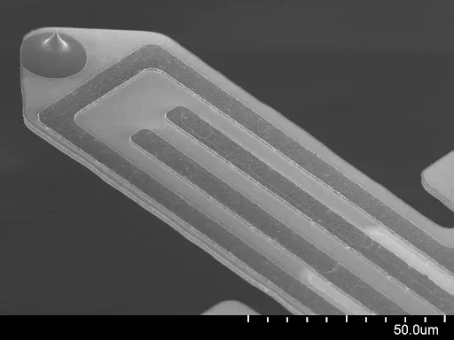 Sample-facing side of a PRSA-L100 cantilever