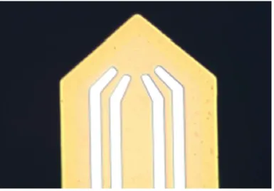 Close-up of TLCQCT2 cantilever tip