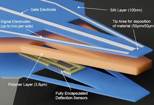 Schematic of the TLCQCT3-V cantilever